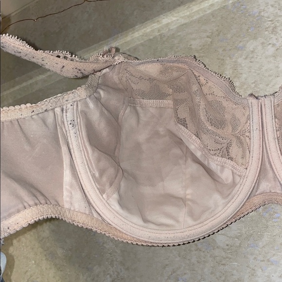 bra - Picture 3 of 3